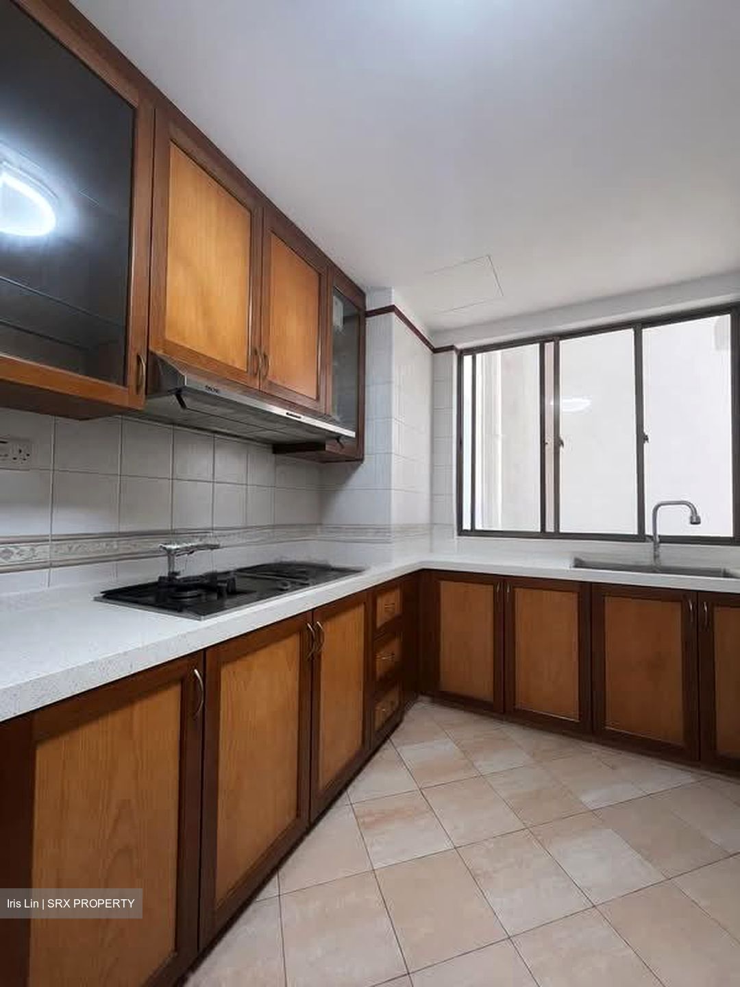 Parc Vista (D22), Condominium #584243571